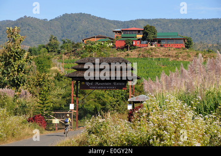 Vigneti di montagna rossa Station Wagon Nyaungshwe vicino al Lago Inle, MYANMAR Birmania, Asia Foto Stock