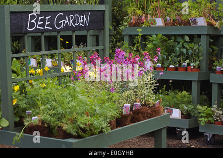 Il giardino delle api nel centro giardino di Osborne House, Isle of Wight, Hampshire REGNO UNITO NEL MESE DI MAGGIO Foto Stock