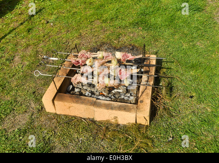 Può un picnic nel paese. La cottura della carne su spiedini alla brace. Foto Stock