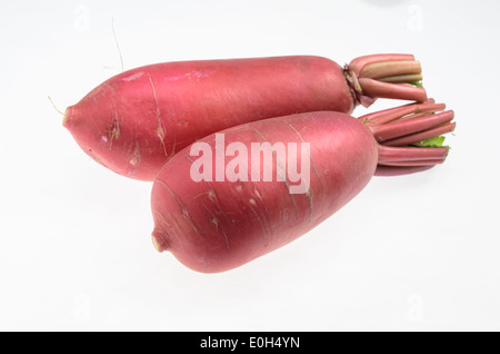 Radicchio Rosso. Isolato su sfondo bianco Foto Stock