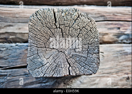 In prossimità di una trave di legno, Livigno, Lombardia, Italia Foto Stock