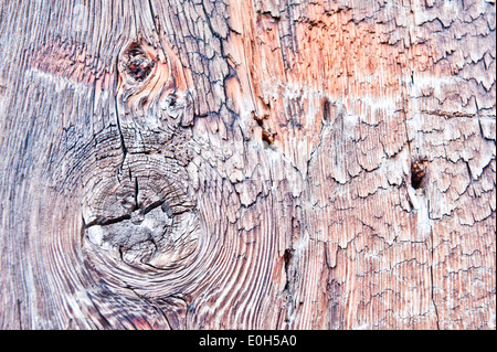 In prossimità di una trave di legno, Livigno, Lombardia, Italia Foto Stock