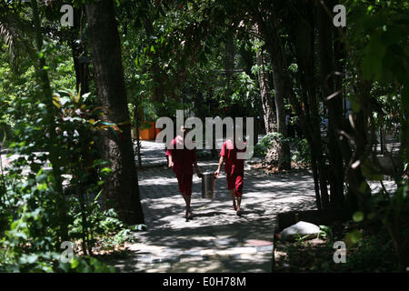 13 maggio 2014 - Lopburi/Saraburi, Thailandia - il personale di tradizionale medicina detox per programmi di riabilitazione in Wat Tham Krabok in montagna tra Lopburi e Saraburi in Thailandia. Il Wat Tham Krabok è famosa in tutto il mondo per i suoi farmaci programa di riabilitazione che è stato avviato nel 1959. Oltre 100.000 di oppio ed eroina tossicodipendenti hanno da allora sono stati sottoposti a trattamento nell'unico Wat Tham Krabok detox, un programma costituito da meditazione buddista pratiche, asiatici supplementazione a base di erbe usati per il rilassamento indotto il vomito e il consumo di un segreto della pozione di detossicazione composto da Foto Stock