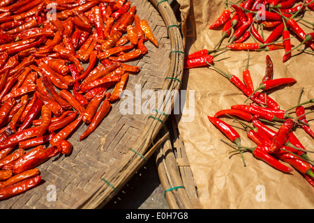 Peperoncino rosso di essiccazione al sole Foto Stock