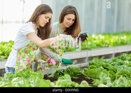 Giovani donne in giardino Foto Stock