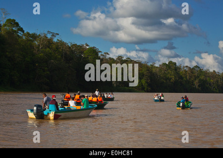 Vista turisti BORNEAN PIGMEO di elefanti nel fiume Kinabatangan Wildlife Sanctuary - BORNEO Foto Stock