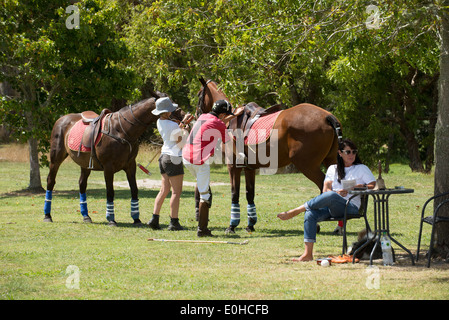 Match Day attività su un polo ground a Clevedon Isola del nord della Nuova Zelanda Foto Stock