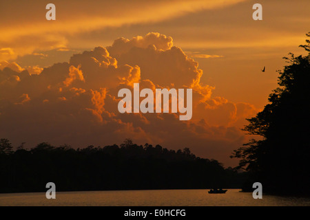 Un bel tramonto testimoniata da una barca sul fiume Kinabatangan Wildlife Sanctuary - Sabah, BORNEO Foto Stock