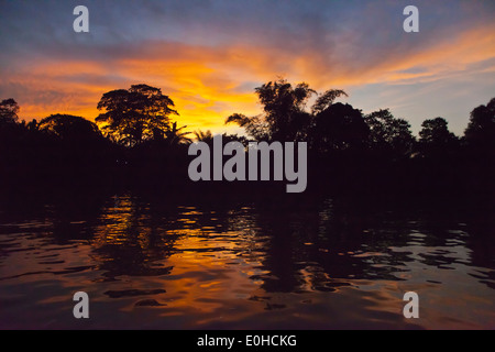 Un bel tramonto testimoniata da una barca sul fiume Kinabatangan Wildlife Sanctuary - Sabah, BORNEO Foto Stock