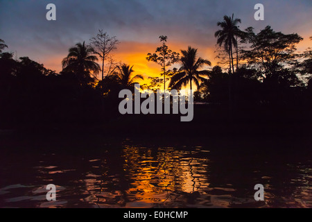 Un bel tramonto testimoniata da una barca sul fiume Kinabatangan Wildlife Sanctuary - Sabah, BORNEO Foto Stock