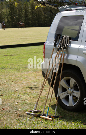 Selezione delle mazze da polo pronto per matchplay Nuova Zelanda Foto Stock