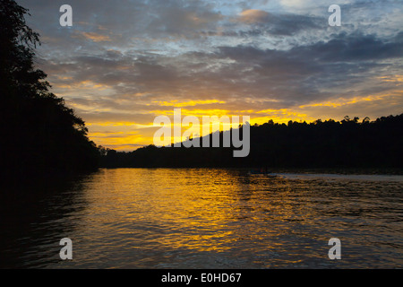 Un tramonto sul fiume presso il fiume Kinabatangan Wildlife Sanctuary - Sabah, BORNEO Foto Stock