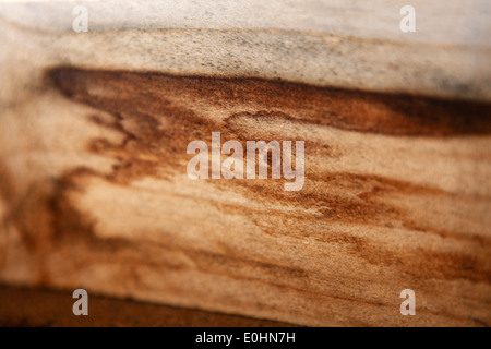 Close-up di grana di legno Foto Stock