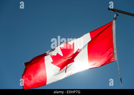 Basso angolo di vista la bandiera canadese svolazzanti, Twillingate, Sud Twillingate Isola, Terranova e Labrador, Canada Foto Stock