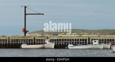 Barche da pesca al dock, Rocky Harbour, Norris punto, Parco Nazionale Gros Morne, Terranova e Labrador, Canada Foto Stock