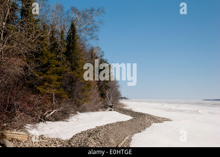 Alberi a lago, Lago Winnipeg, Hecla mola Parco Provinciale, Manitoba, Canada Foto Stock