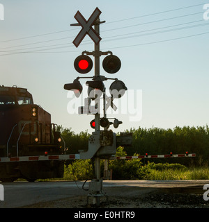 Attraversamento ferroviario segnale, Manitoba, Canada Foto Stock