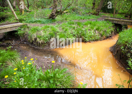 Orange acqua ossido ferrico dal mio alberi a pappagallo di Drumble Riserva Naturale Talke Box Stoke on Trent Staffordshire England Regno Unito Foto Stock