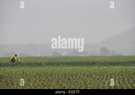Un ciclista australiano che guida la Eurovelo route 6, Austria. Foto Stock