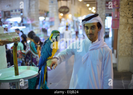 Doha. Il Qatar. Uccelli esotici in vendita al Souq Waqif. Foto Stock