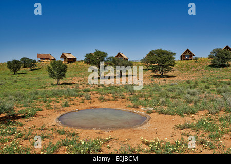 Vista esterna di Rooiputs Lodge, Kgalagadi Parco transfrontaliero, il Kalahari, Sud Africa, Botswana, Africa Foto Stock