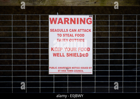 Un segno in St Ives avviso di persone che i gabbiani locale può attaccare per rubare cibo e consigliare le persone a mantenere il loro cibo schermato. Foto Stock
