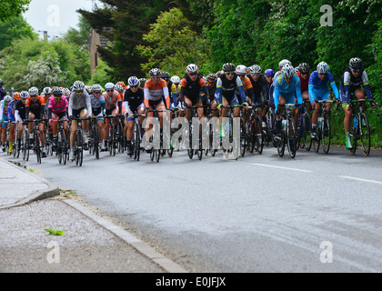 Amici la vita delle donne ciclo Tour gara i piloti.Fase cinque.Il pelaton passando attraverso Manningtree, Essex, UK.9 Maggio 2014 Foto Stock