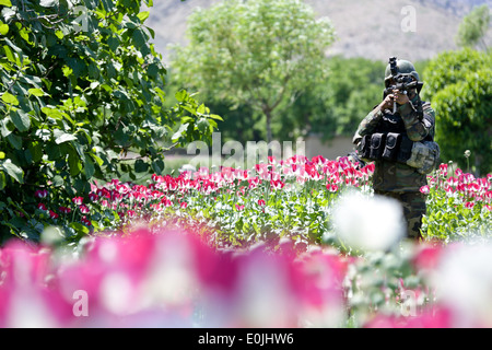 Un esercito nazionale afghano commando con la terza società, 1 Operazioni Speciali Kandak, guarda attraverso il suo ambito come egli le pattuglie attraverso Foto Stock