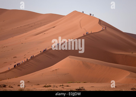 I turisti la scalata al Sossusvlei dune, Namib Naukluft Park, Namibia, Africa Foto Stock