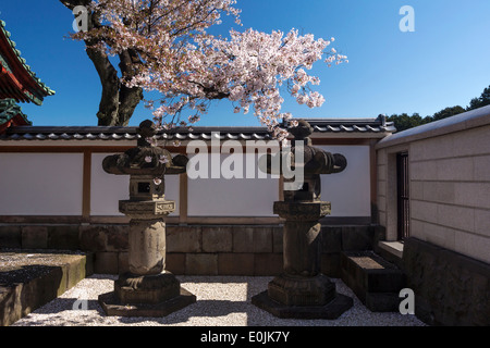 Lanterna di pietra al tempio Kaneiji a Tokyo in Giappone Foto Stock