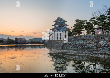 Fiori Ciliegio al Castello Matsumoto in Giappone al crepuscolo Foto Stock