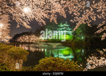 Fiori Ciliegio al castello di Takada in Giappone a notte Foto Stock