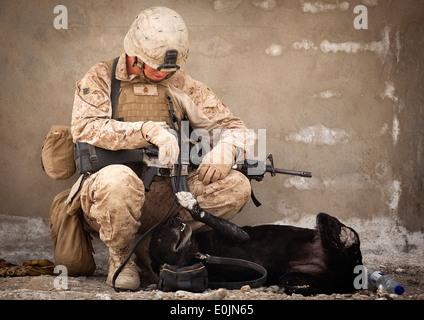 Stati Uniti Lancia Marine Cpl. Evan Frickey, un 21-anno-vecchio esplosivi improvvisati rilevamento del dispositivo gestore del cane con terzo plotone, Kilo Com Foto Stock