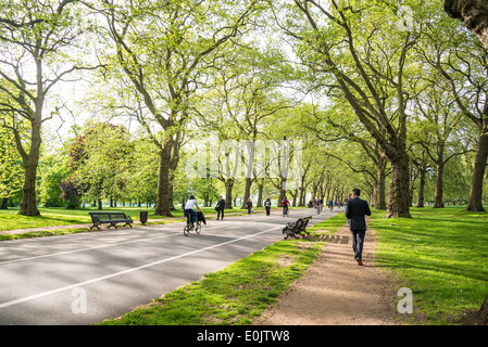 Hyde Park, ampio Walk, London, Regno Unito Foto Stock