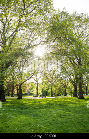 Hyde Park, London, Regno Unito Foto Stock