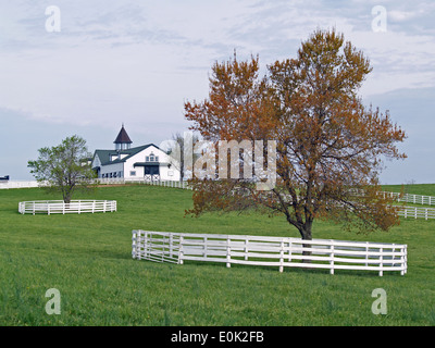 Un purosangue fienile è sormontato da una cupola,Lexington, Kentucky Foto Stock