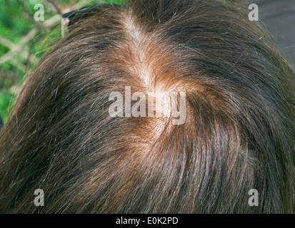 Donna capelli parted Foto Stock