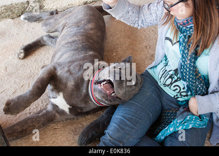 Cane [cane italiano] [corso della canna da zucchero] [cane corso] donna ragazza divertendosi divertente seduta piano closeup Foto Stock