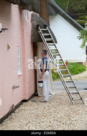 Professional pittore decoratore di verniciatura di un cottage con tetto di paglia Foto Stock