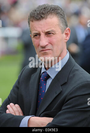 KEVIN RYAN GARA allenatore di cavalli IPPODROMO DI YORK YORK INGHILTERRA 15 Maggio 2014 Foto Stock