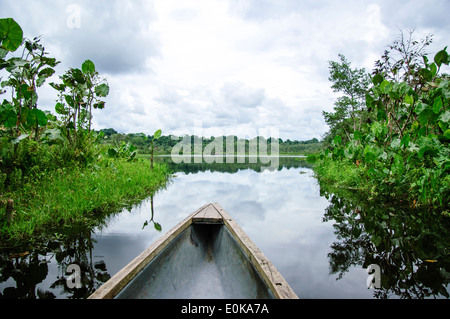 Una canoa vela attraverso le calme acque del Fiume Rio delle Amazzoni Foto Stock