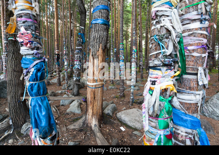 Alberi con nastri colorati in area di Arshan, Tunkinsky distretto, Buryatia, Russia Foto Stock