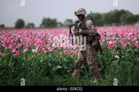 MARJAH, provincia di Helmand, Repubblica Islamica dell'Afghanistan - caporale Mark Hickok, un 23-anno-vecchio ingegnere di combattimento da Nord Olms Foto Stock