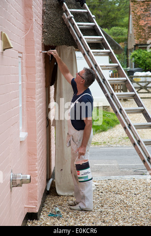 Professional pittore decoratore di verniciatura di un cottage con tetto di paglia Foto Stock