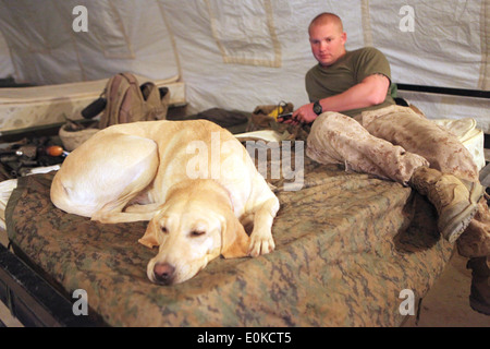 Lancia CPL. Cody Whitis, un gestore di cani del corpo dei Marine, e un Arlington, Texas, nativo, E il suo cane militare di lavoro, Gracie, catc la divisione è di collaborare con le forze di sicurezza nazionali afghane e il governo della Repubblica islamica dell'Afghanistan per condurre operazioni di controrivellazione per assicurare il popolo afghano, sconfiggere le forze insurrgenti, E consentire all'ANSF di assumere responsabilità in materia di sicurezza nell'ambito delle sue attività, al fine di sostenere l'espansione della stabilità, dello sviluppo e della governance legittima. Foto Stock