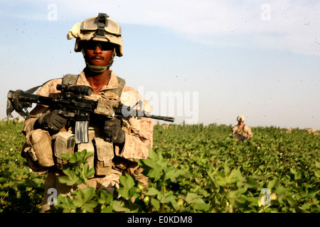 Petty Officer 3rd Class Mark R. Watts, corpsman con Echo Company, 2° Battaglione, 6° Reggimento Marine, pattuglie attraverso un fiel Foto Stock