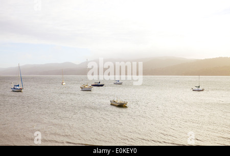 Un gruppo di barche a vela ancorata in acqua nel pomeriggio la luce. Foto Stock