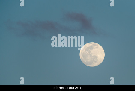 La luna piena sorge presso la Merritt Island National Wildlife Refuge su il punto nero Wildlife Drive in Florida. Foto Stock