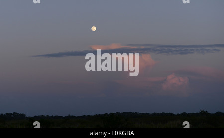 La luna piena sorge presso la Merritt Island National Wildlife Refuge su il punto nero Wildlife Drive in Florida. Foto Stock