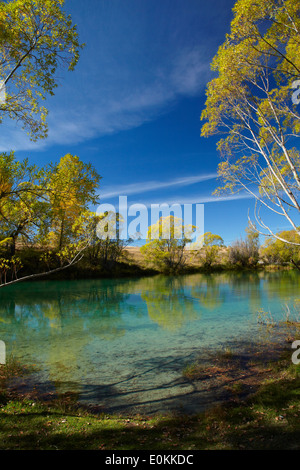 Ohau fiume in autunno, vicino a Twizel, Mackenzie paese, Isola del Sud, Nuova Zelanda Foto Stock